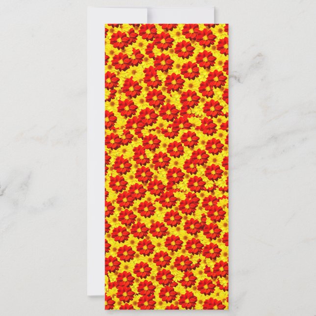 Red and yellow dahlia flowers  (Front)