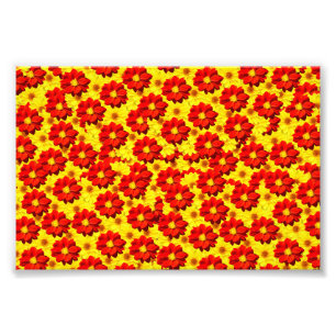 Red and yellow dahlia flowers photo print
