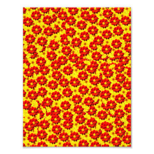 Red and yellow dahlia flowers photo print