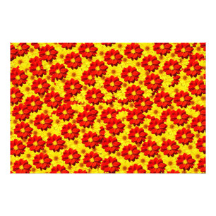 Red and yellow dahlia flowers  photo print