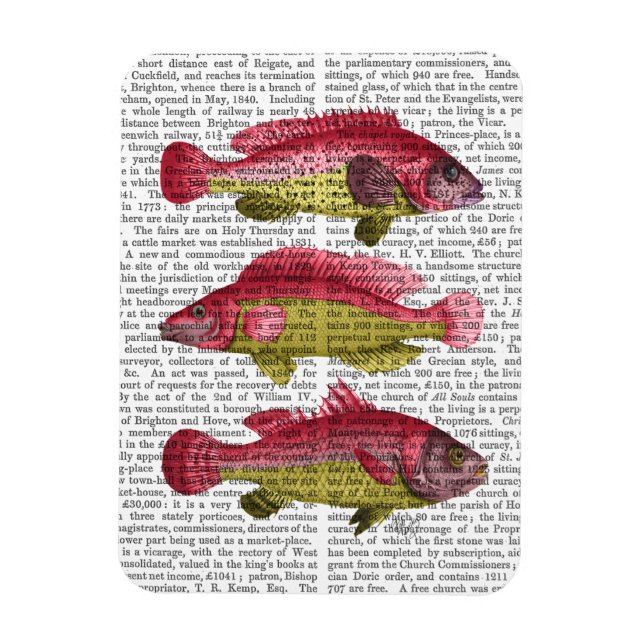 Red and Yellow Fantasy Fish Trio Magnet (Vertical)