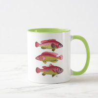 Red and Yellow Fantasy Fish Trio