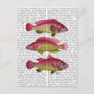 Red and Yellow Fantasy Fish Trio Postcard