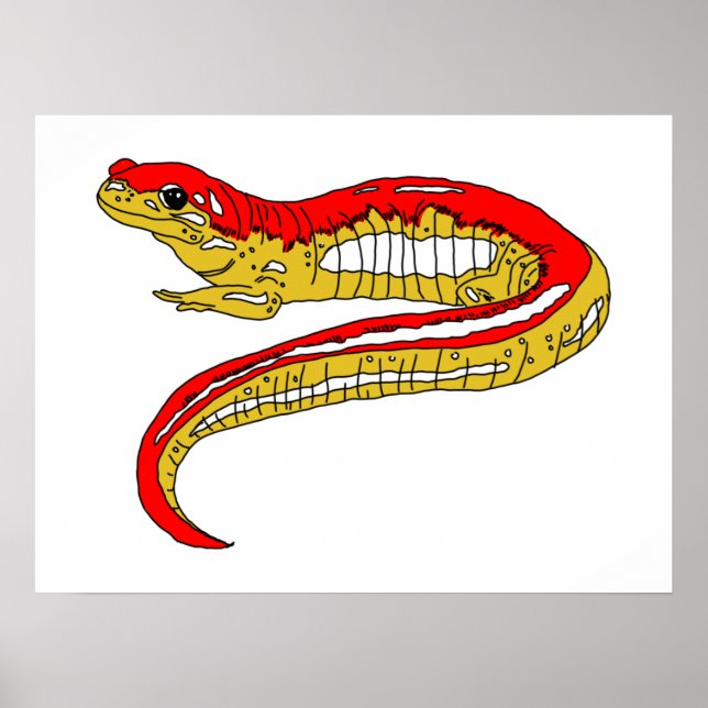 Red and Yellow Salamander Poster (Front)