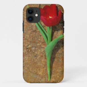 Red and Yellow Tulip iPhone 11 Case
