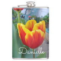 Red and Yellow Tulip floral Garden Photo