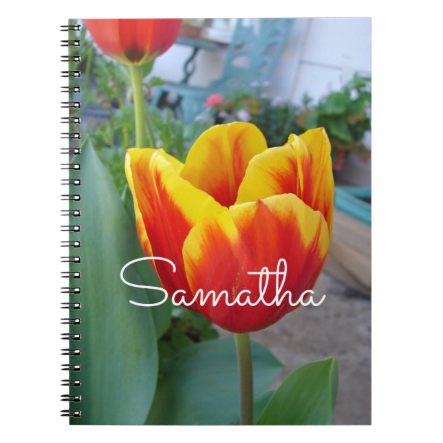 Red and Yellow Tulip floral Garden Photo Notebook (Front)