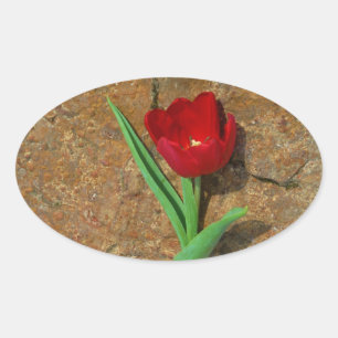 Red and Yellow Tulip Oval Sticker