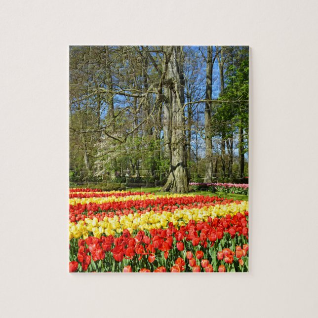 Red and yellow tulips jigsaw puzzle (Vertical)