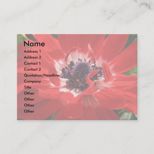 Red Anemone Business Card (Front)