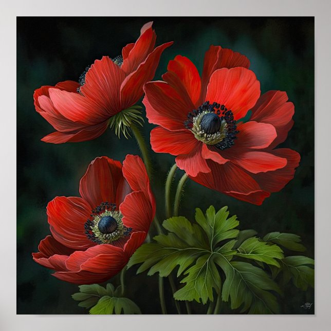 Red Anemone Flowers Art Print Poster (Front)