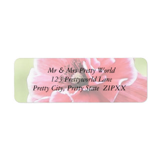 Red Angel's Choir Poppy