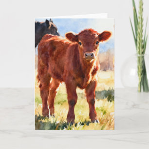 Red Angus Calf Study C In Watercolor Card