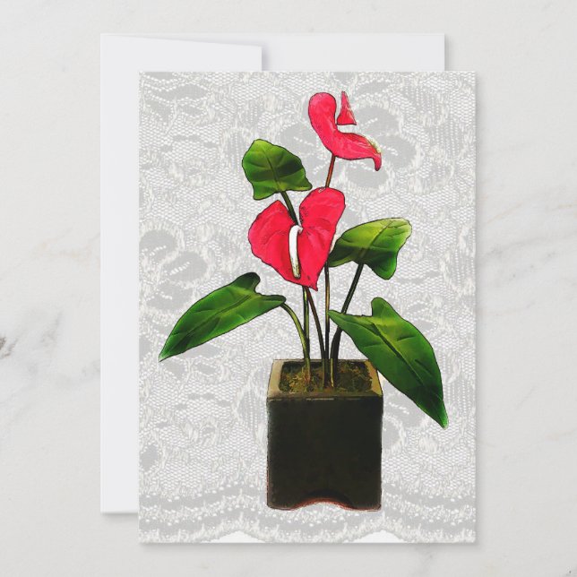 Red Anthurium in Planter Invitation (Front)