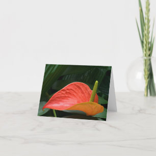 Red Anthurium Plant Against Foliage Thank You Card