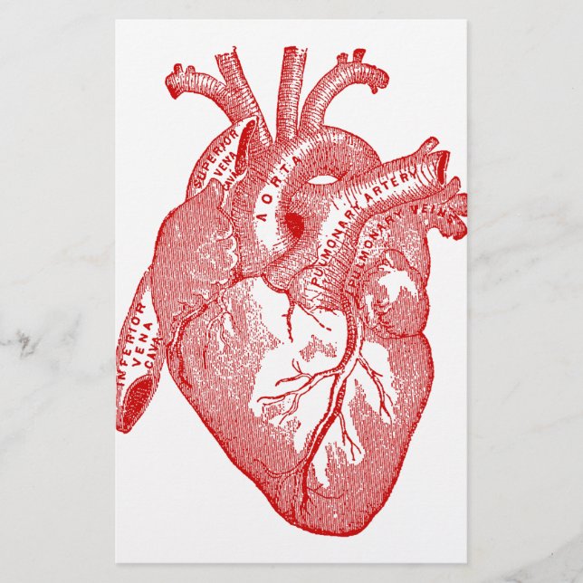 Red Antique Anatomical Heart (Front)
