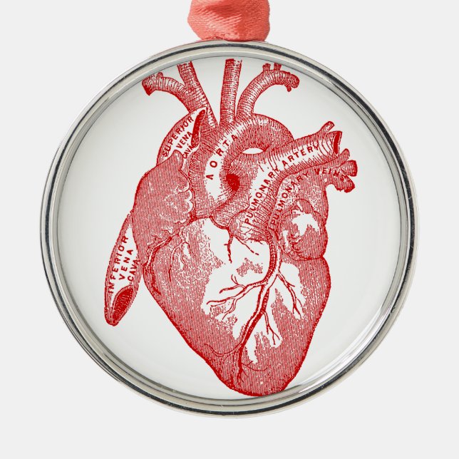 Red Antique Anatomical Heart Metal Ornament (Front)