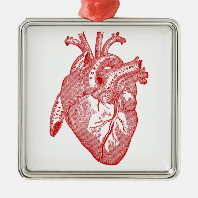Red Antique Anatomical Heart Metal Ornament (Front)