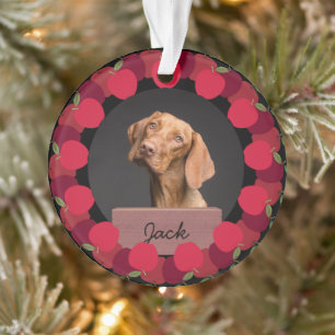 red apple christmas holiday Custom Dog Photo  Ornament