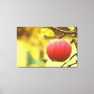 "Red Apple" Cute Photo. Buy Now Canvas Print