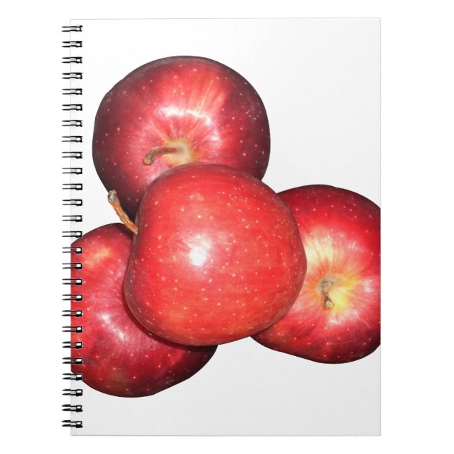 Red Apple Notebook (Front)