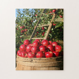 Red apple orchard harvest jigsaw puzzle