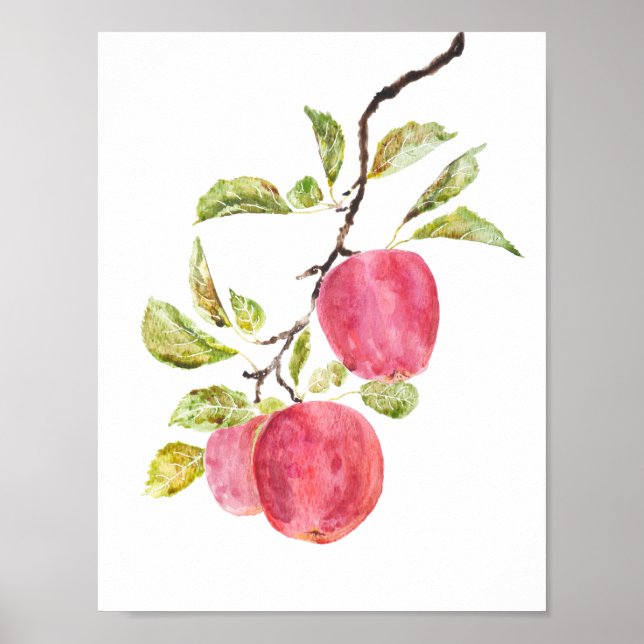 red apple  watercolor  poster (Front)