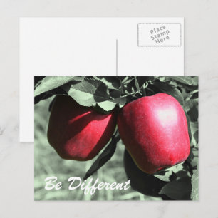 Red Apples Be Different Inspirational Postcard