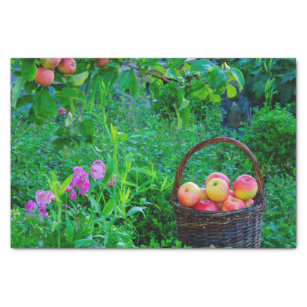 Red apples cottage garden with sweet pea flowers tissue paper