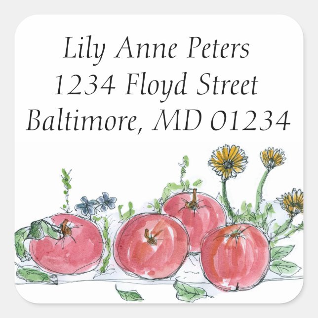 Red Apples Fruit Drawing Return Address Square Sticker (Front)