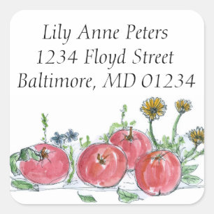 Red Apples Fruit Drawing Return Address Square Sticker