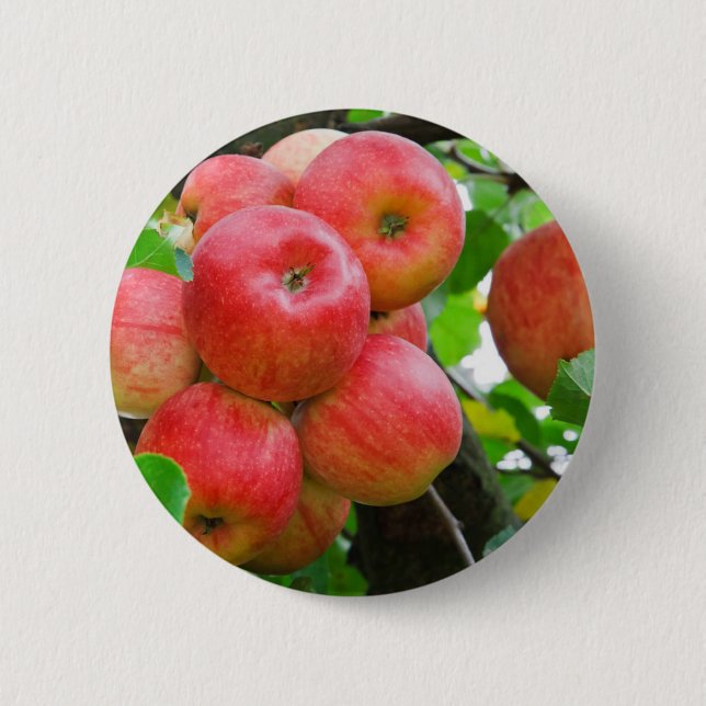 Red Apples on Tree 2 Inch Round Button (Front)