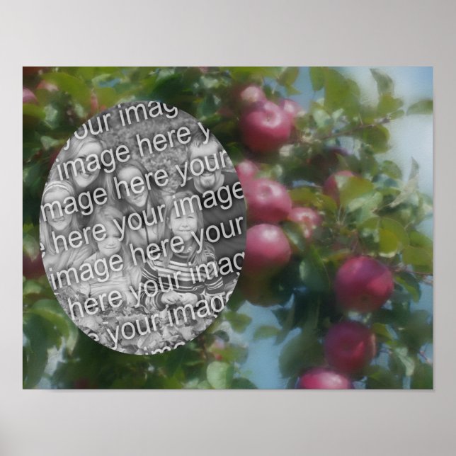 Red Apples On Tree Art Create Your Own Photo Poster (Front)