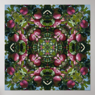 Red Apples On Tree Nature Art Abstract Poster