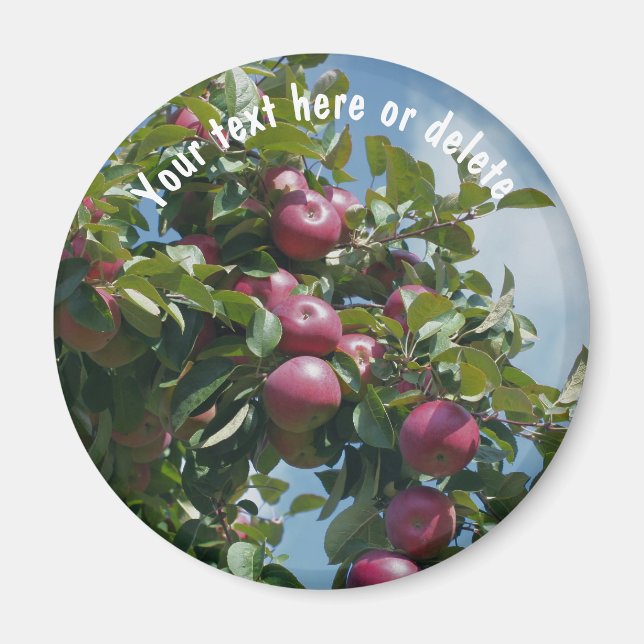 Red Apples On Tree Nature Personalized Magnet (Front)