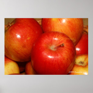 Red Apples Poster