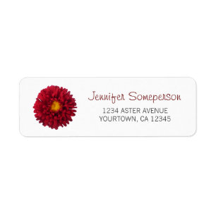 Red Aster