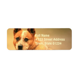 Red Australian Cattle Dog Adresse de retour Label