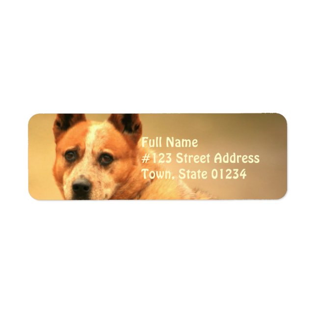 Red Australian Cattle Dog Adresse de retour Label (Devant)