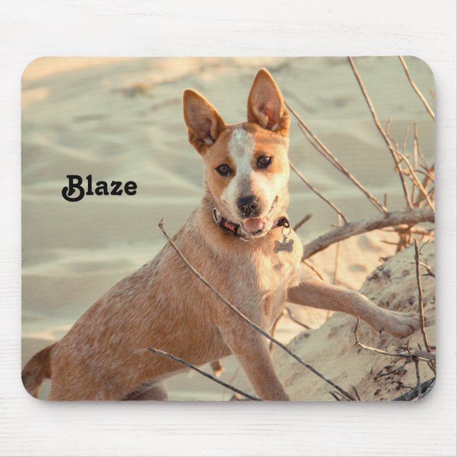 Red Australian Cattle Dog - Heeler - in the snow Mouse Pad (Front)