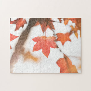 Red Autumn Leaf Nature Photo Jigsaw Puzzle