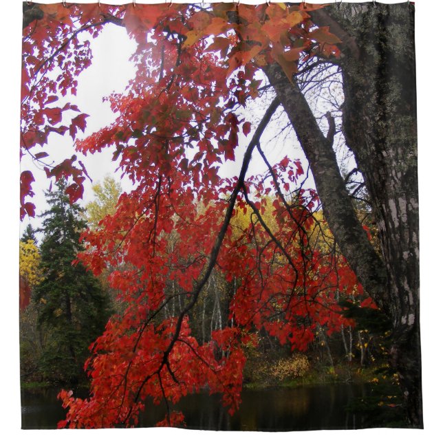 Red Autumn Leaves (Front)