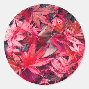 Red Autumn Leaves Classic Round Sticker