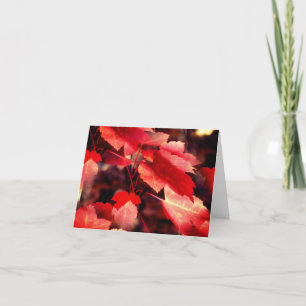 Red Autumn Leaves Customizable Note Card