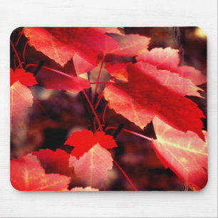 Red Autumn Leaves Nature Mouse Pad