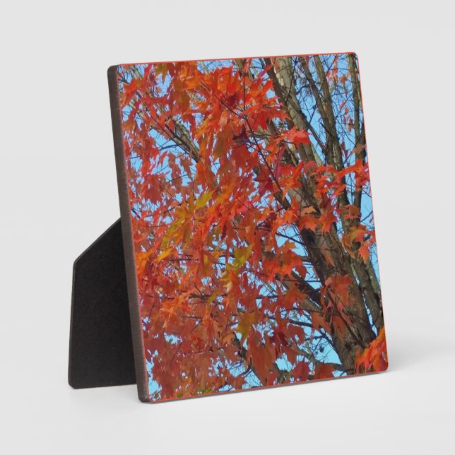Red Autumn Leaves Plaque (Front)