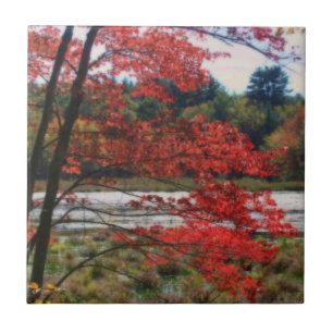 Red Autumn Leaves Pond Nature Art Tile