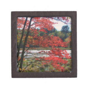 Red Autumn Leaves Pond Nature Gift Box