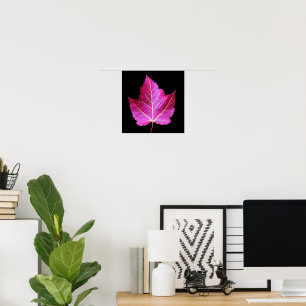 Red Autumn Maple Leaf on Black Floral Poster