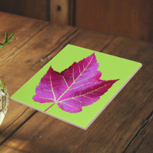 Red Autumn Maple Leaf on Green Background Tile
